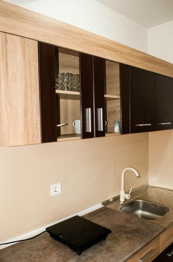 Apartman Soko Soko Banja Exteriér fotografie
