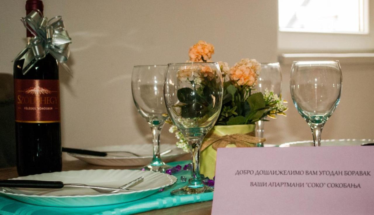 Apartman Soko Soko Banja Exteriér fotografie