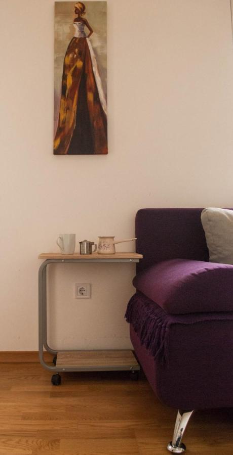 Apartmán Apartman Soko Soko Banja Exteriér fotografie