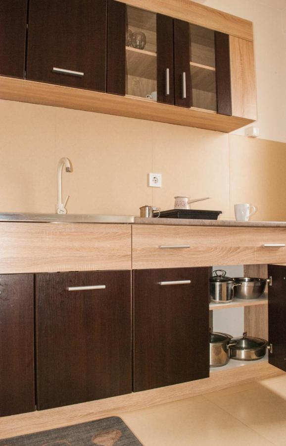 Apartman Soko Soko Banja Exteriér fotografie