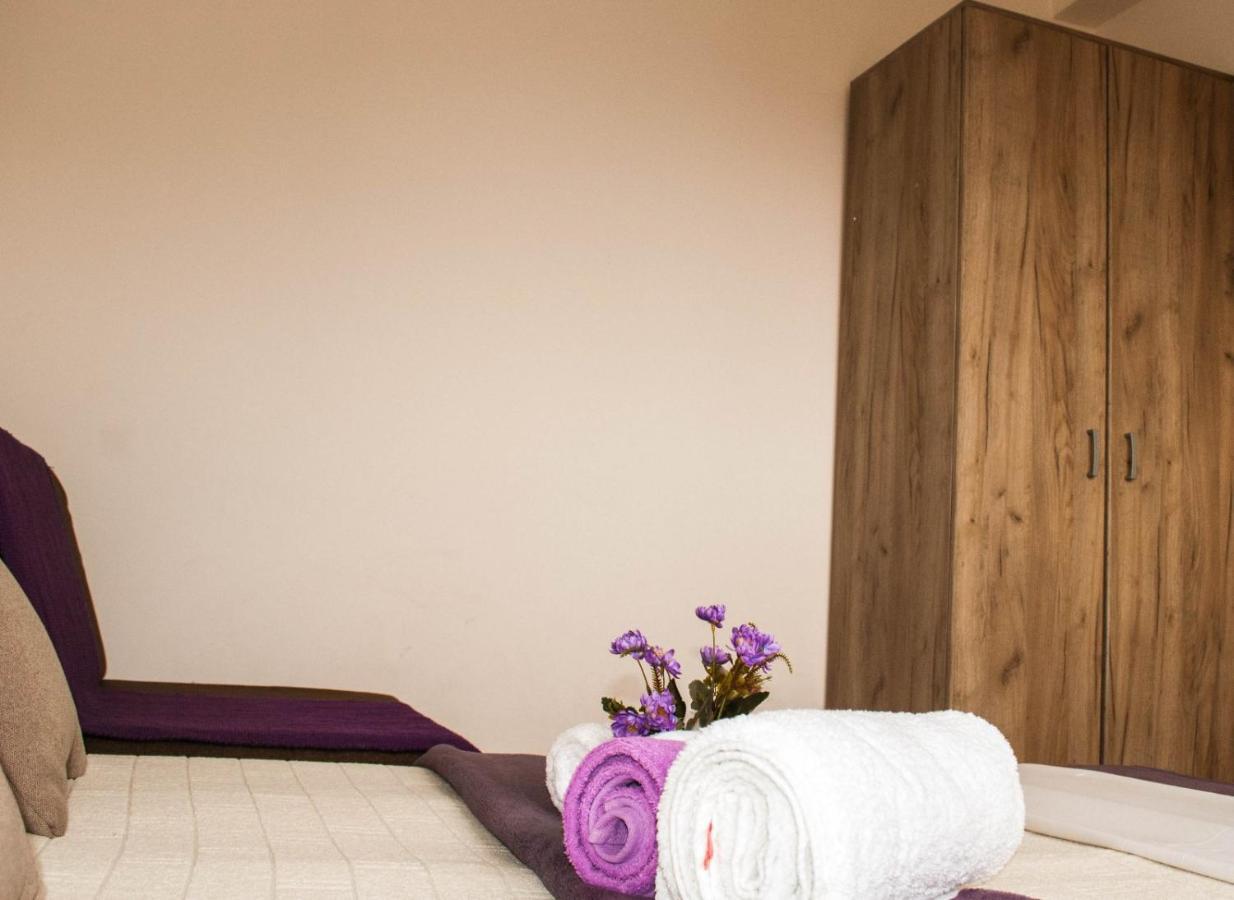 Apartman Soko Soko Banja Exteriér fotografie