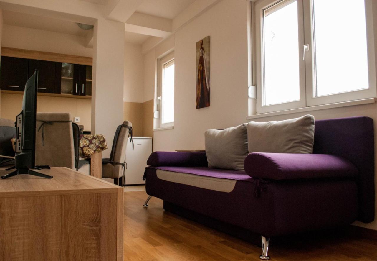 Apartman Soko Soko Banja Exteriér fotografie